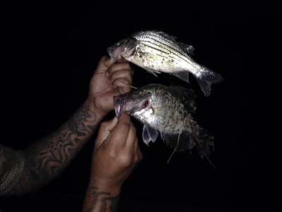 IMG_8697.jpeg