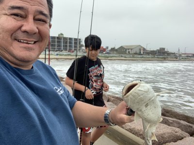 IMG_4467.jpeg